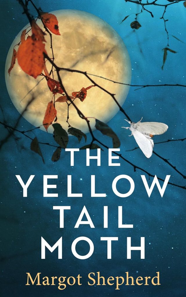 The Yellow Tail Moth